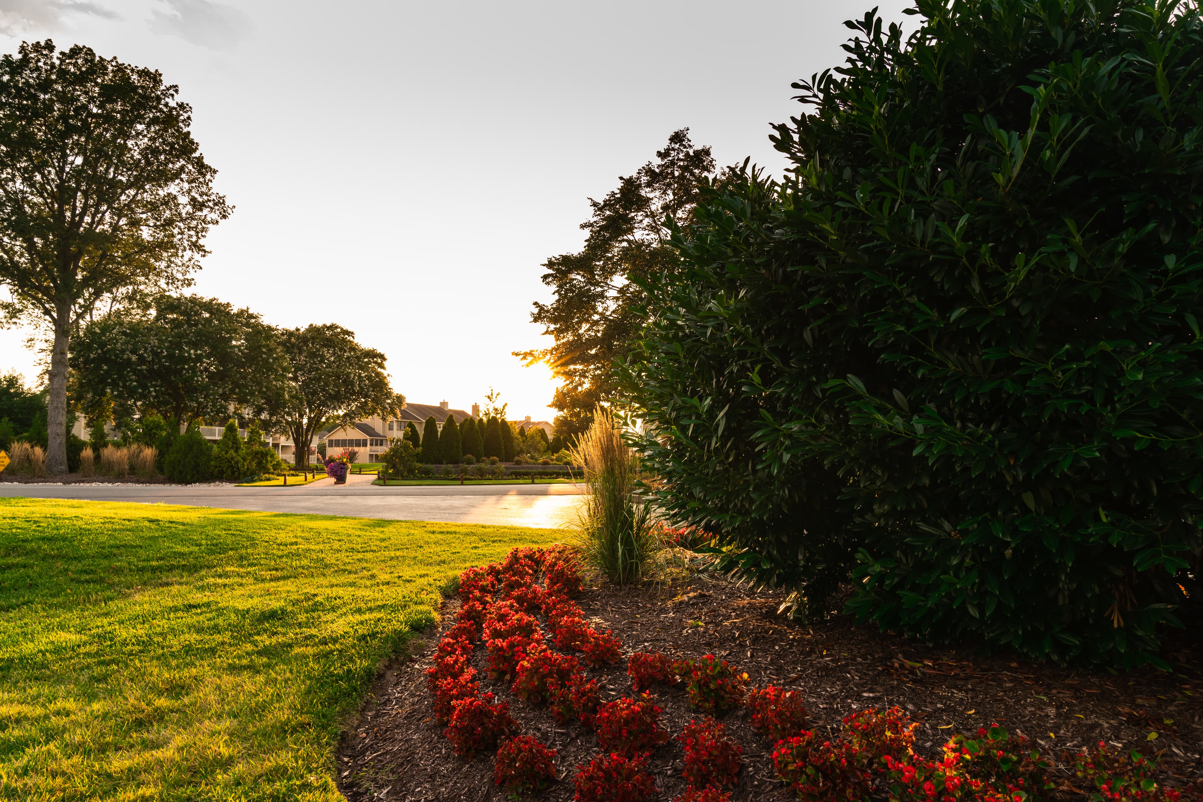 Hole 10 walkway