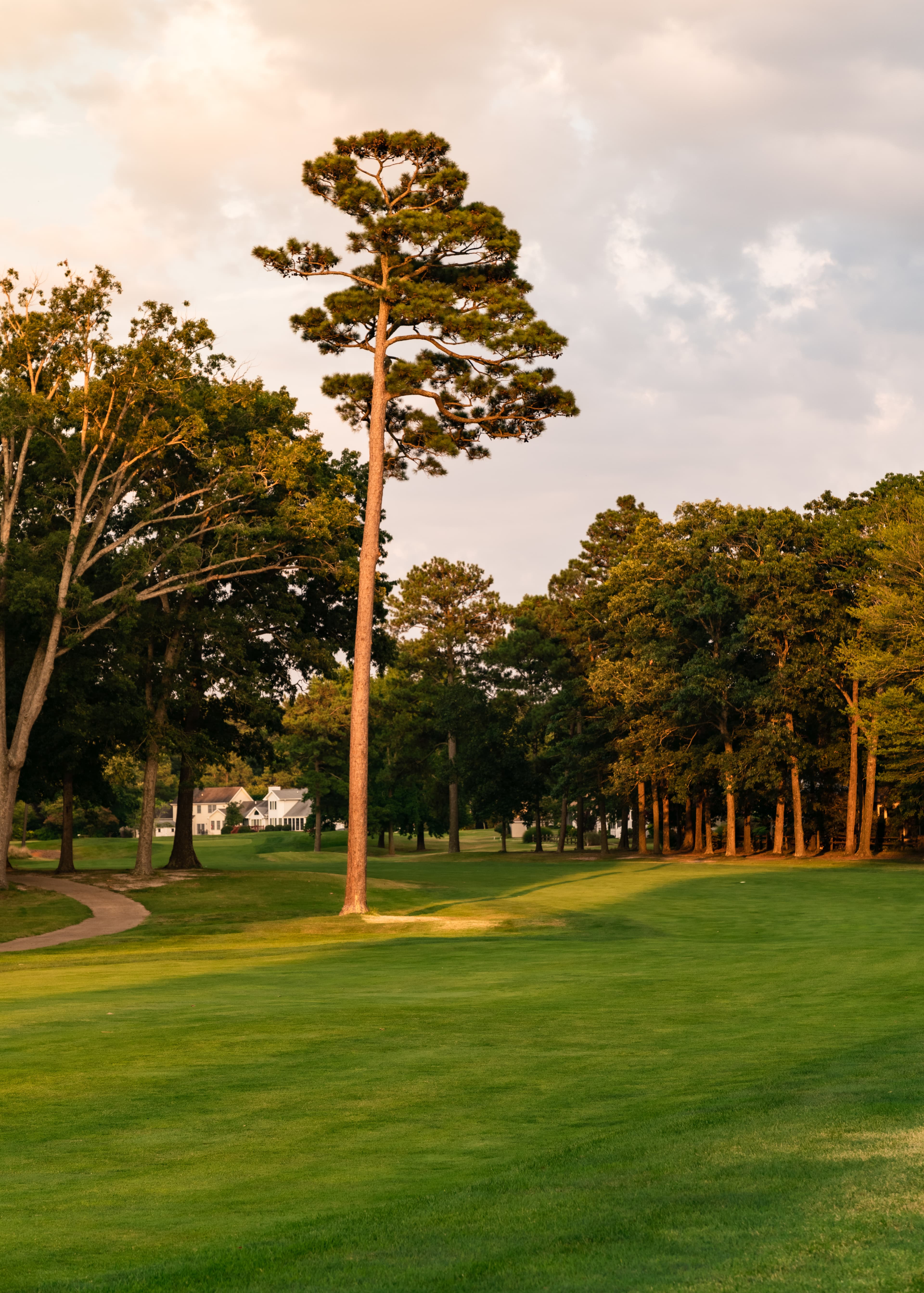 Hole 4